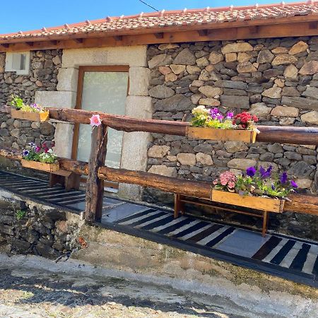 Casa Das Flores Lamego Dış mekan fotoğraf