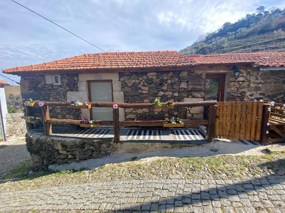 Casa Das Flores Lamego Dış mekan fotoğraf