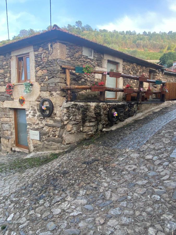 Casa Das Flores Lamego Dış mekan fotoğraf